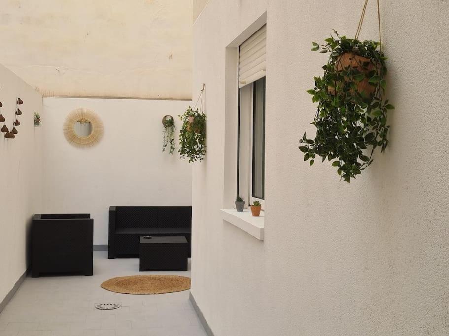 Beautiful Apartment With Patio 또레비에하 외부 사진