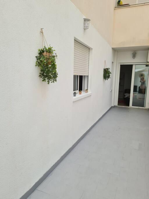 Beautiful Apartment With Patio 또레비에하 외부 사진